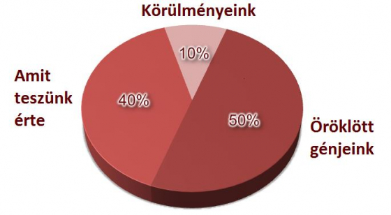 Lyubomirsky-grafikon.jpg